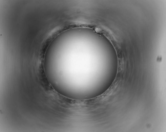 X0000103321157200809192133