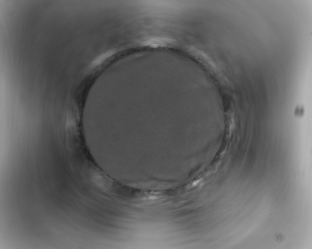 X0000103321158200809192133