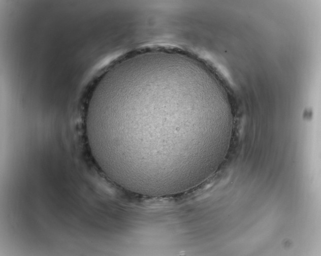 X0000103321159200809192133