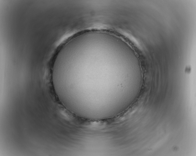 X0000103321160200809192133