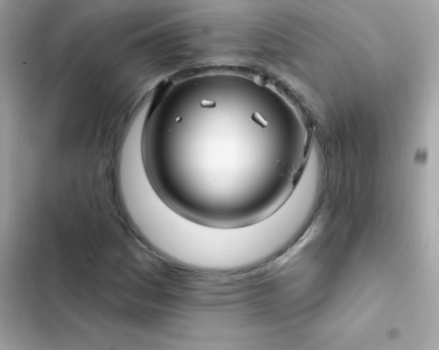 X0000103321161200809192133