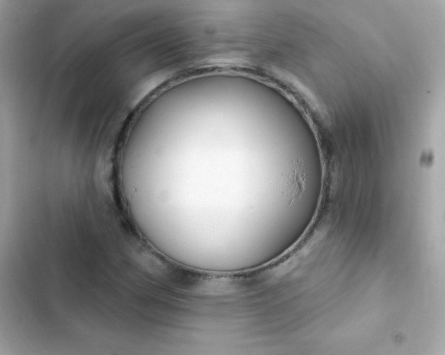 X0000103321162200809192133