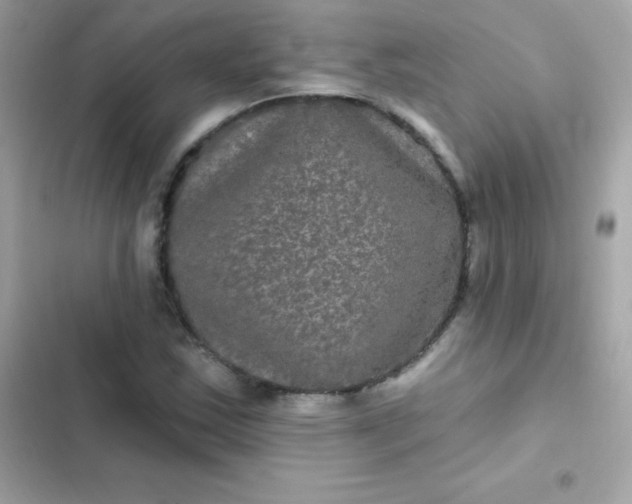 X0000103321163200809192133