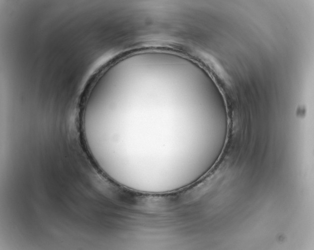 X0000103321164200809192133