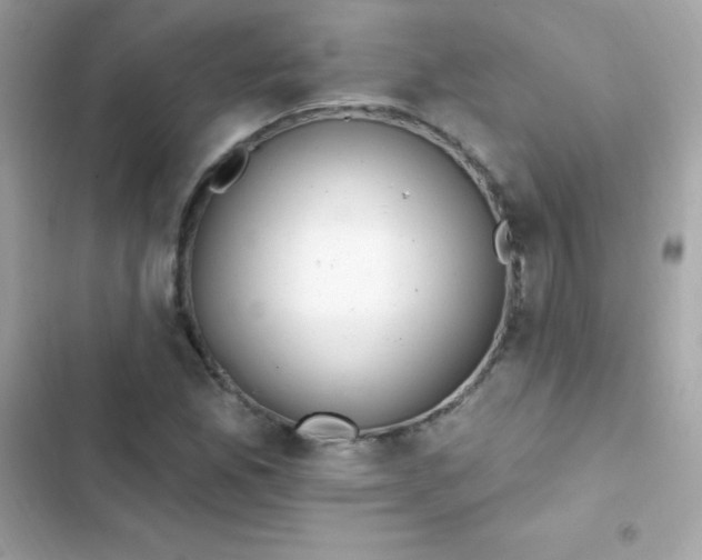 X0000103321165200809192133