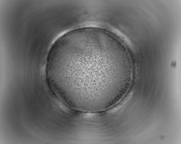 X0000103321166200809192133