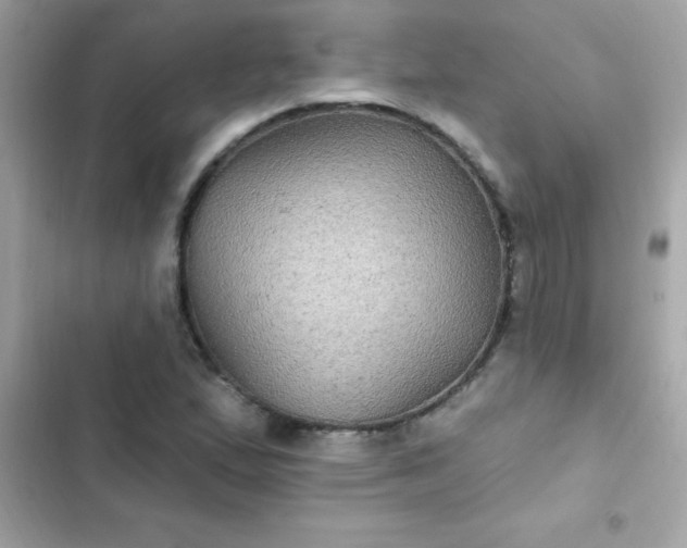 X0000103321167200809192133