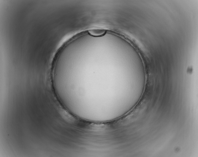 X0000103321168200809192133