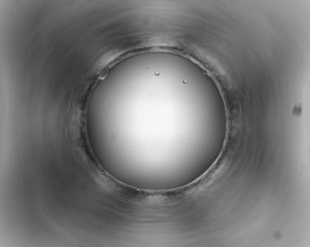 X0000103321169200809192133