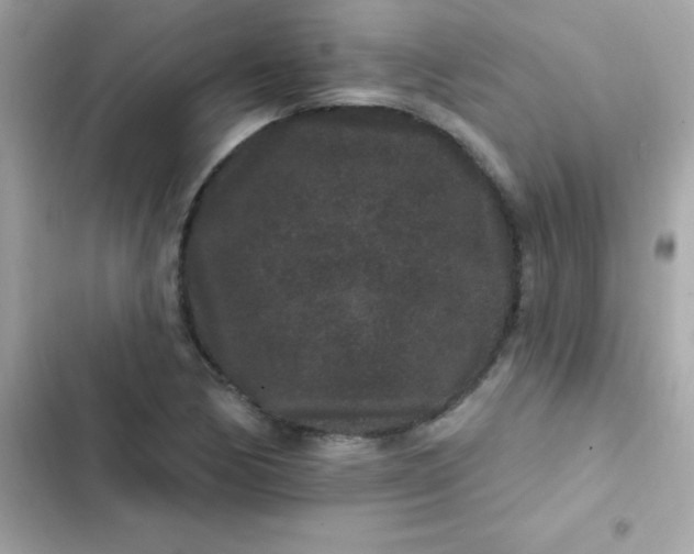 X0000103321170200809192133