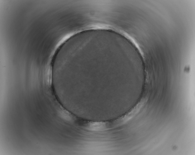 X0000103321171200809192133