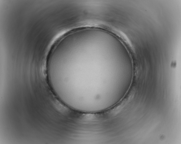 X0000103321172200809192133