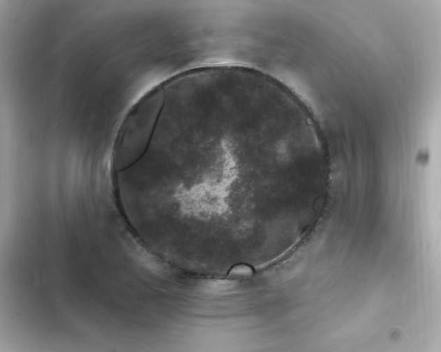 X0000103321173200809192133