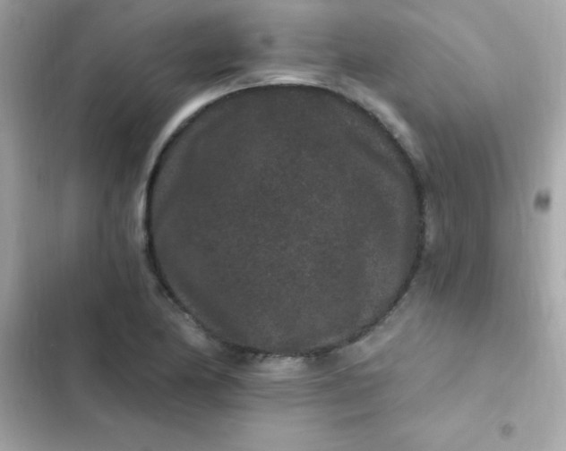 X0000103321174200809192133