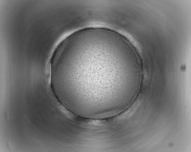 X0000103321175200809192133