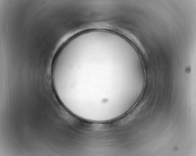 X0000103321176200809192133