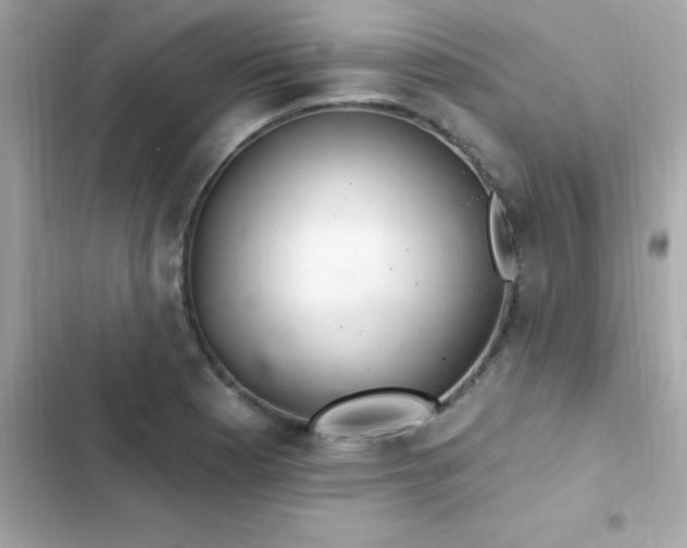 X0000103321177200809192133