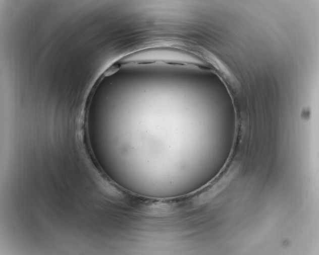 X0000103321178200809192133