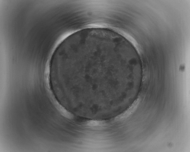 X0000103321179200809192133