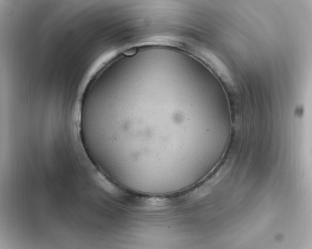 X0000103321180200809192133