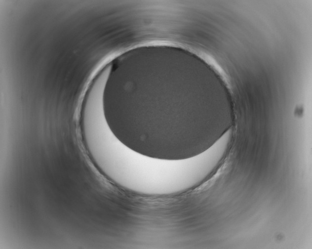 X0000103321181200809192133