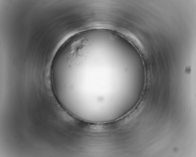 X0000103321182200809192133