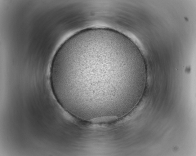 X0000103321183200809192133