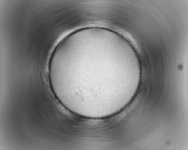 X0000103321184200809192133