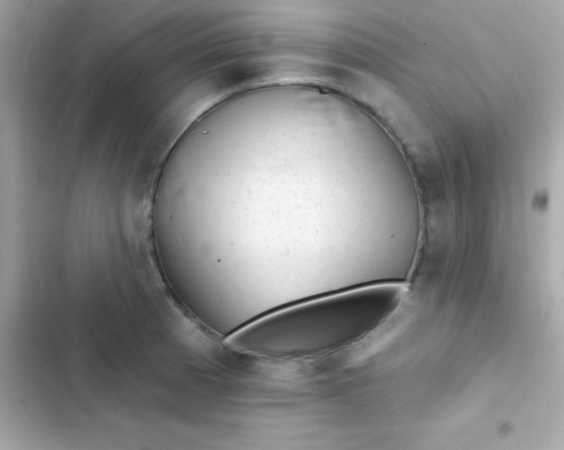 X0000103321185200809192133