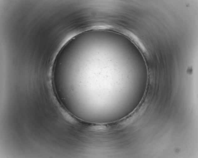 X0000103321186200809192133