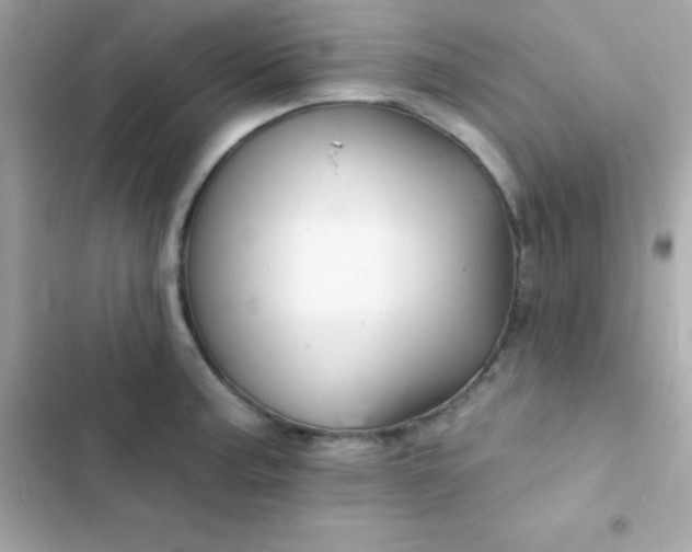 X0000103321187200809192133