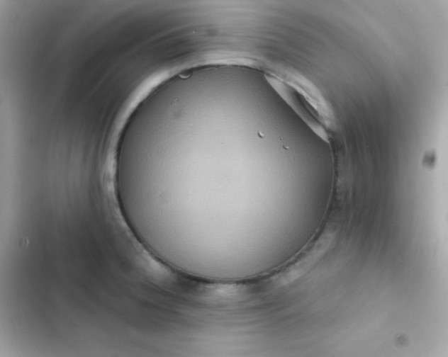 X0000103321188200809192133