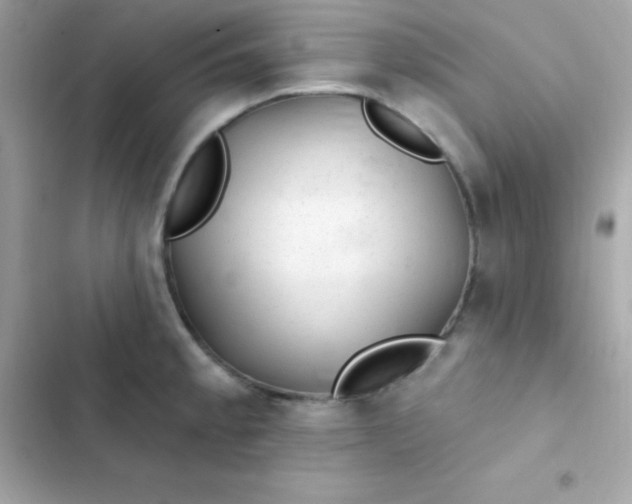 X0000103321189200809192132