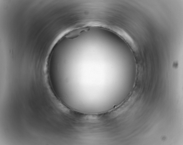 X0000103321190200809192132