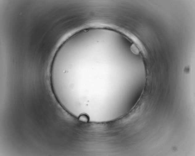 X0000103321191200809192132