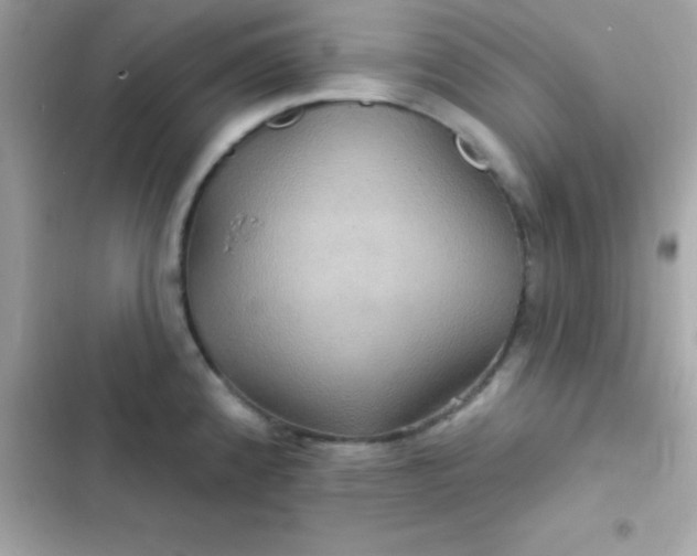 X0000103321192200809192132