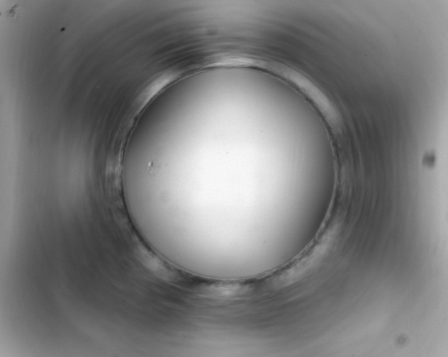 X0000103321193200809192132