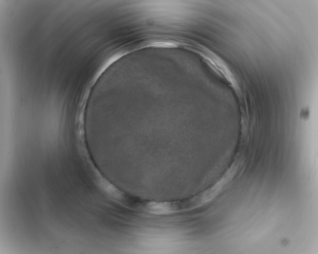 X0000103321194200809192132