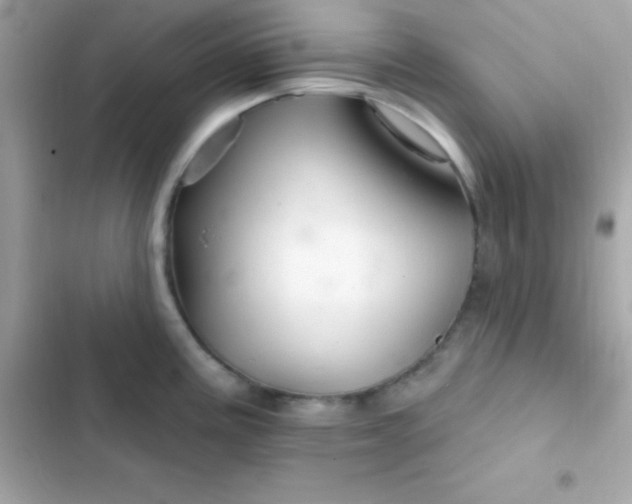 X0000103321195200809192132