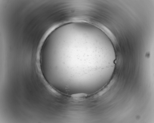 X0000103321196200809192132