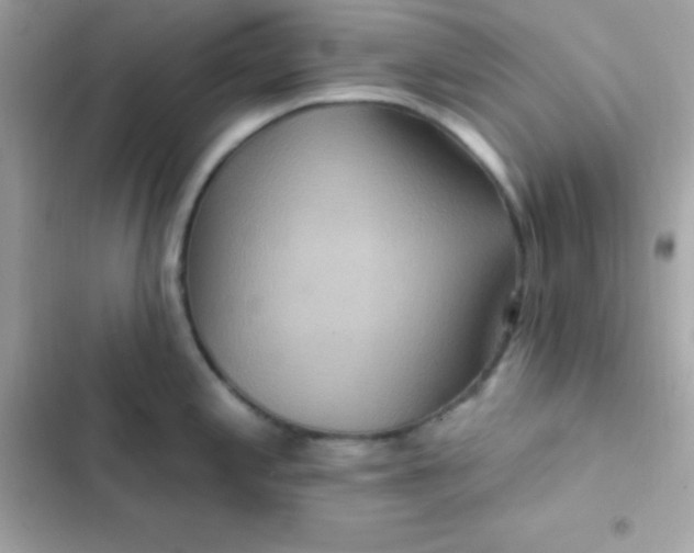 X0000103321197200809192132