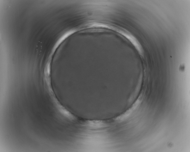 X0000103321198200809192132