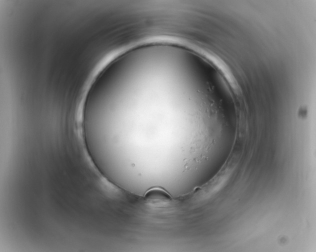 X0000103321199200809192132