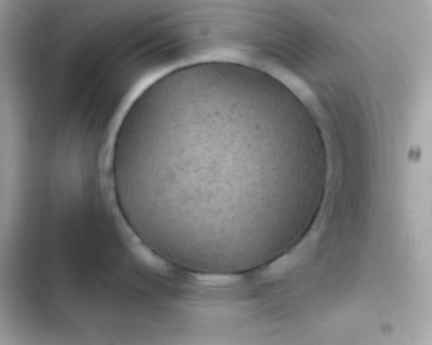 X0000103321200200809192132