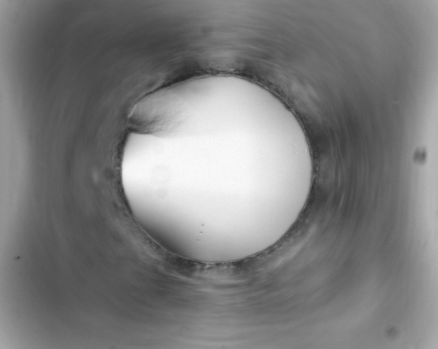 X0000103321201200809192132