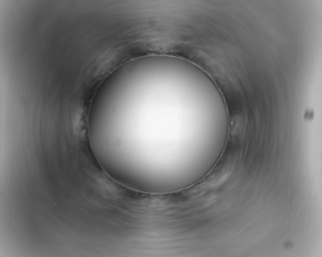 X0000103321202200809192132