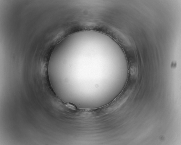 X0000103321204200809192132