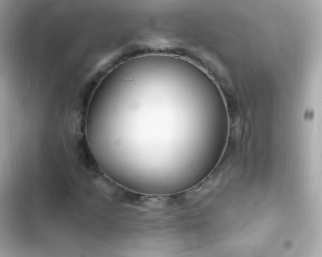 X0000103321205200809192132