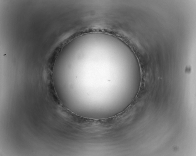 X0000103321207200809192132