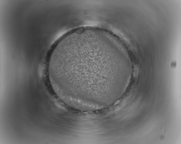 X0000103321208200809192132